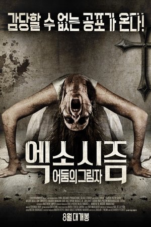 엑소시즘: 어둠의 그림자