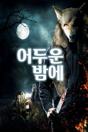 어두운 밤에