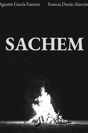 Sachem