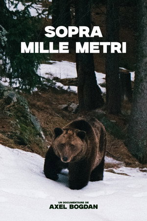 Sopra Mille Metri