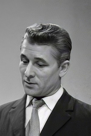 František Budín