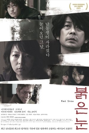 붉은 눈