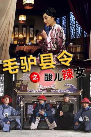 毛驴县令之酸儿辣女
