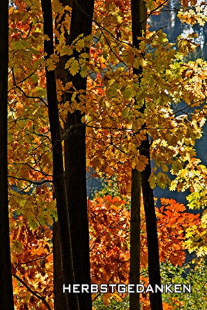 Herbstgedanken Herbstgedanken