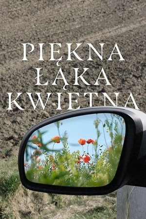 Piękna łąka kwietna