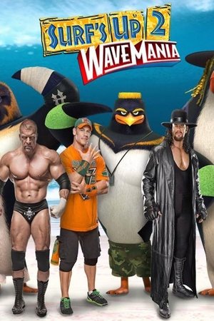 Locos por el Surf 2 (2017)