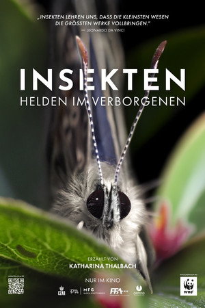 Insekten - Helden im Verborgenen