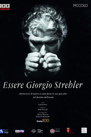 Essere Giorgio Strehler poster