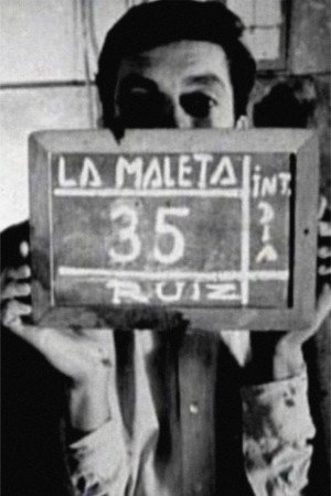 The Suitcase