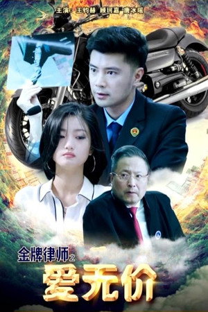 金牌律师之爱无价