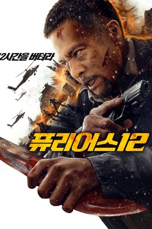 퓨리어스 12