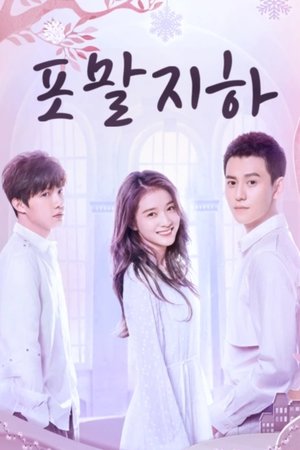 포말지하