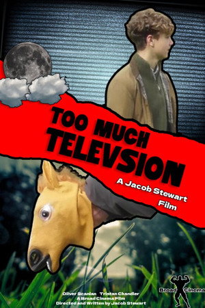 Too Much Television poster