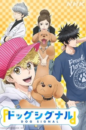 Dog Signal