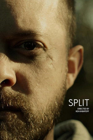 Split poster