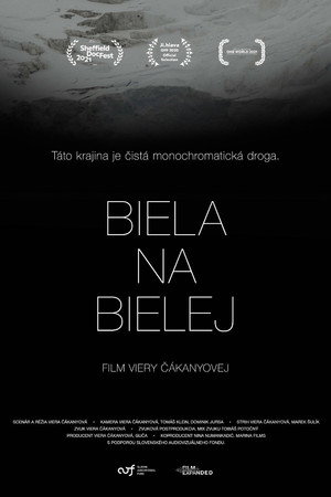 White on White poster