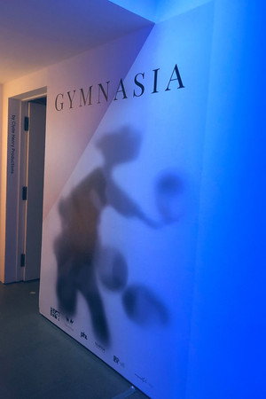 Gymnasia poster