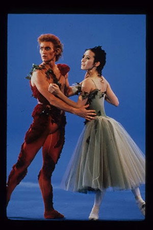 To Dream Of Roses poster