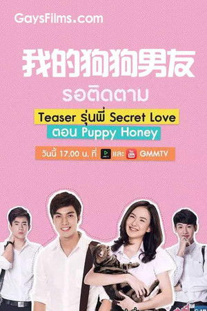 秘恋之我亲爱的狗狗