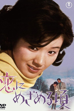恋にめざめる頃