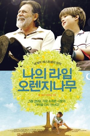 나의 라임 오렌지 나무