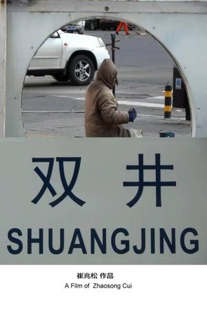 Shuang Jing