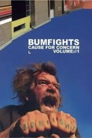 Bumfights:Cause for Concern