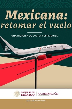Mexicana: Retomar el vuelo