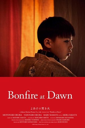Bonfire at Dawn