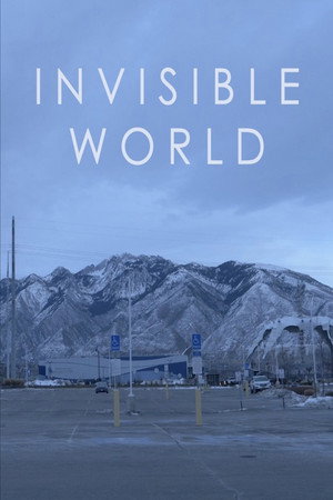 Invisible World poster