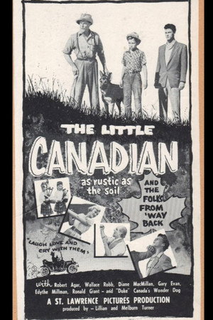The Little Canadian poster