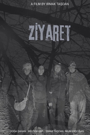 Ziyaret