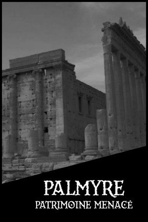 Palmyre, patrimoine menacé poster
