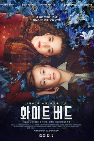 화이트 버드