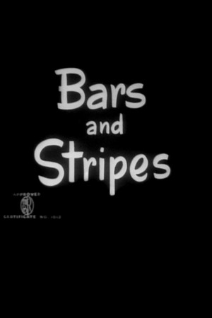 Bars and Stripes poster