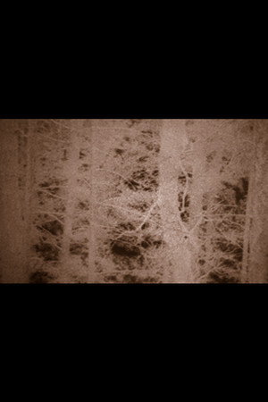 The Hollow Mountain poster