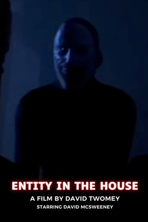 ENTITY IN THE HOUSE