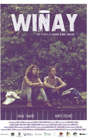 Wiñay poster