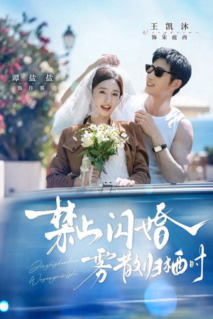 禁止闪婚，雾散归栖时