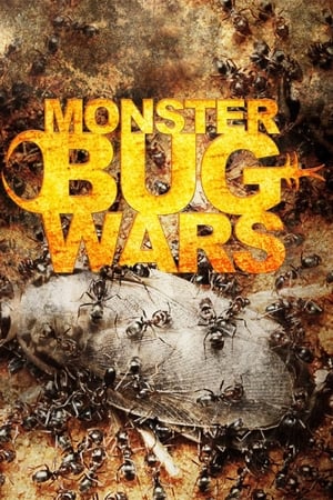 Monster Bug Wars