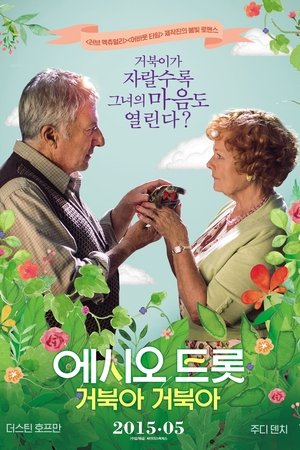에시오 트롯: 거북아 거북아