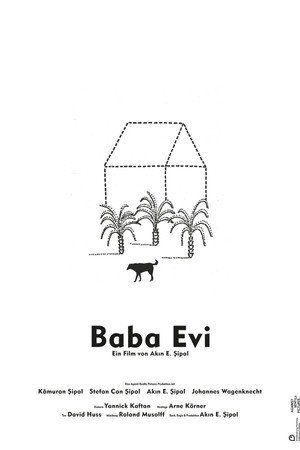 Baba Evi poster