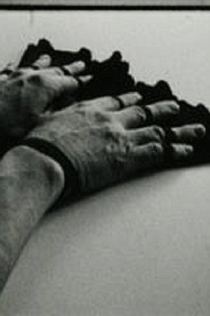 Fingerfächer poster