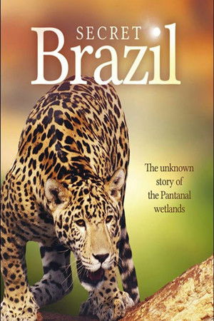 Secret Brazil – National