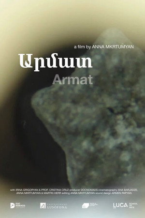 Armat poster