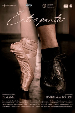 Entre Puntos poster