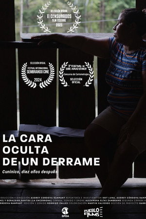 La cara oculta de un derrame poster