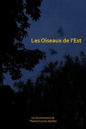 Les oiseaux de l