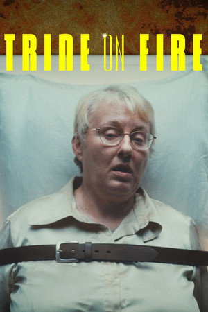 Trine on Fire poster