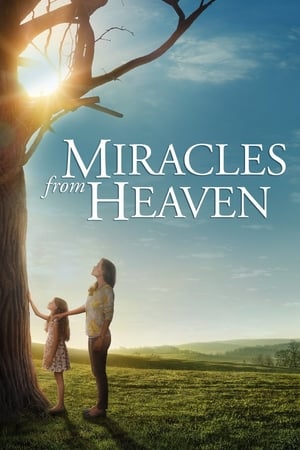 Miracles From Heaven 2016 The Movie Database Tmdb